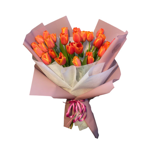 CaboTulips