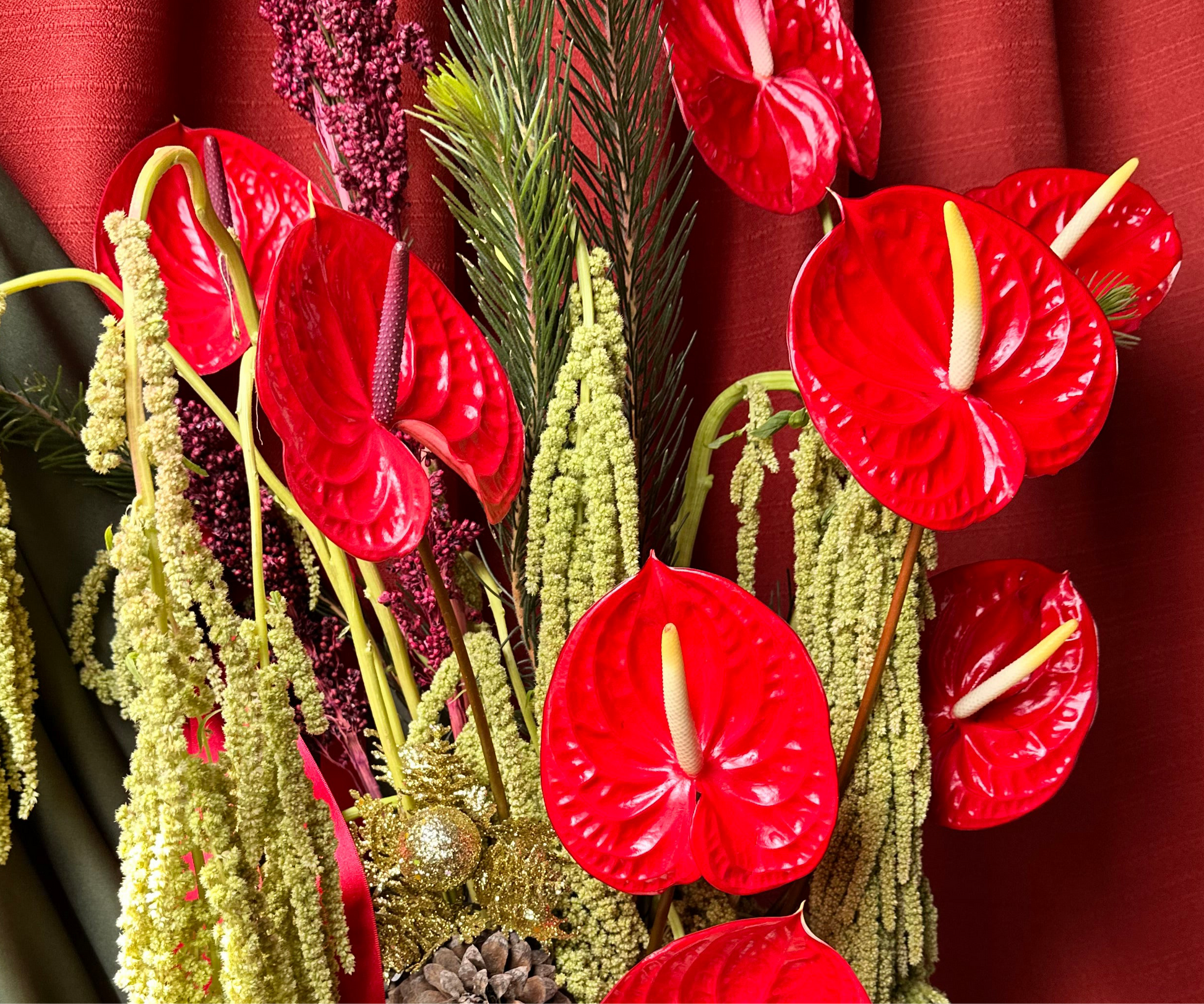 Navidad con Amaranto