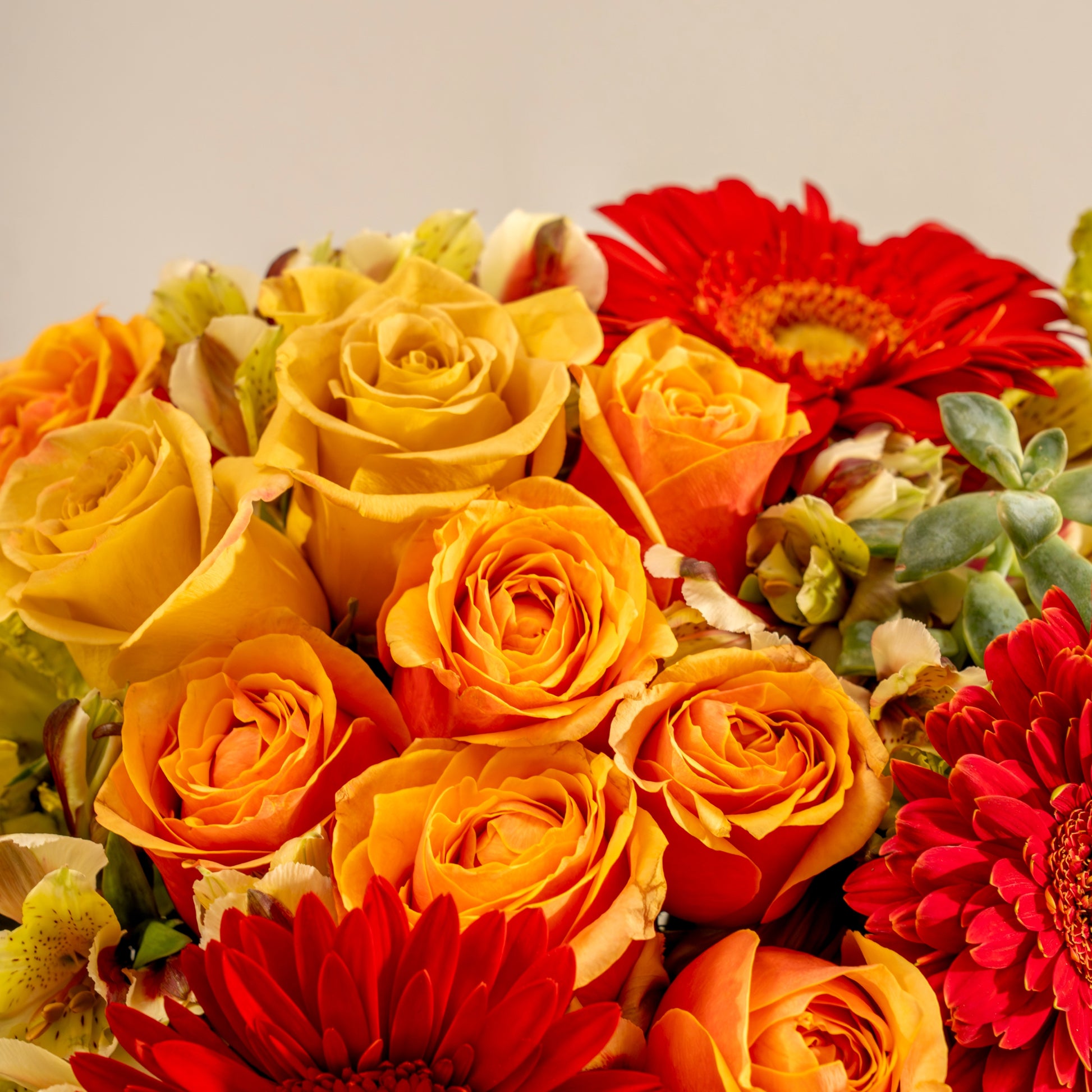 Tacto Floral