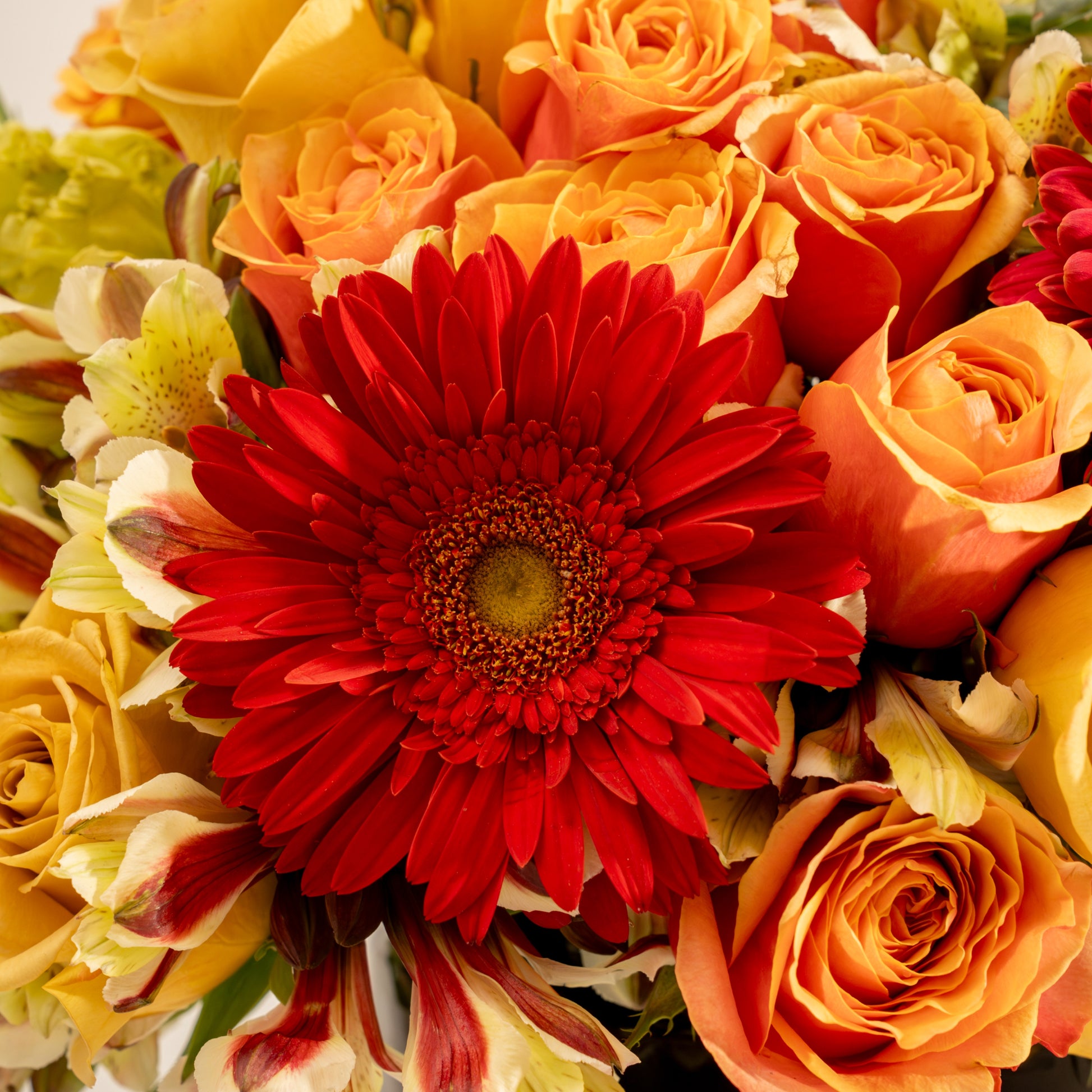 Tacto Floral